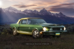 Mustang-copy